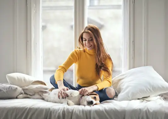 Junge Frau mit ihrem Hund auf dem Sofa
